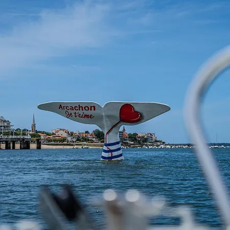 Vue - Direct Arcachon